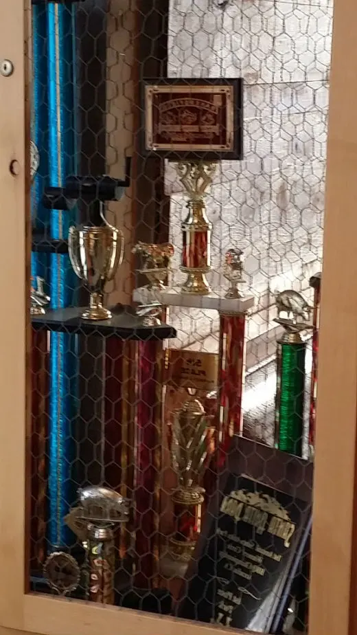 Brazen trophies